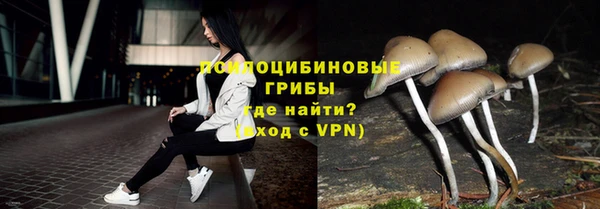 дмт Алзамай