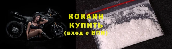 apvp Алексин