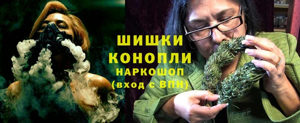 дмт Алзамай