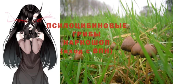 дмт Алзамай