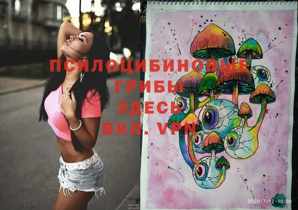 дмт Алзамай