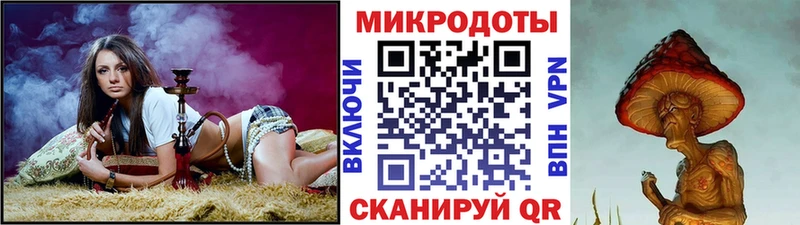 где найти   Киреевск  Галлюциногенные грибы Psilocybine cubensis 